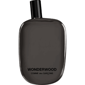 Comme des Garçons Wonderwood EDP - 100ML